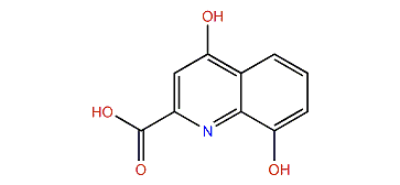 4,8-Dihydroxyquinoline-2-carboxylic acid